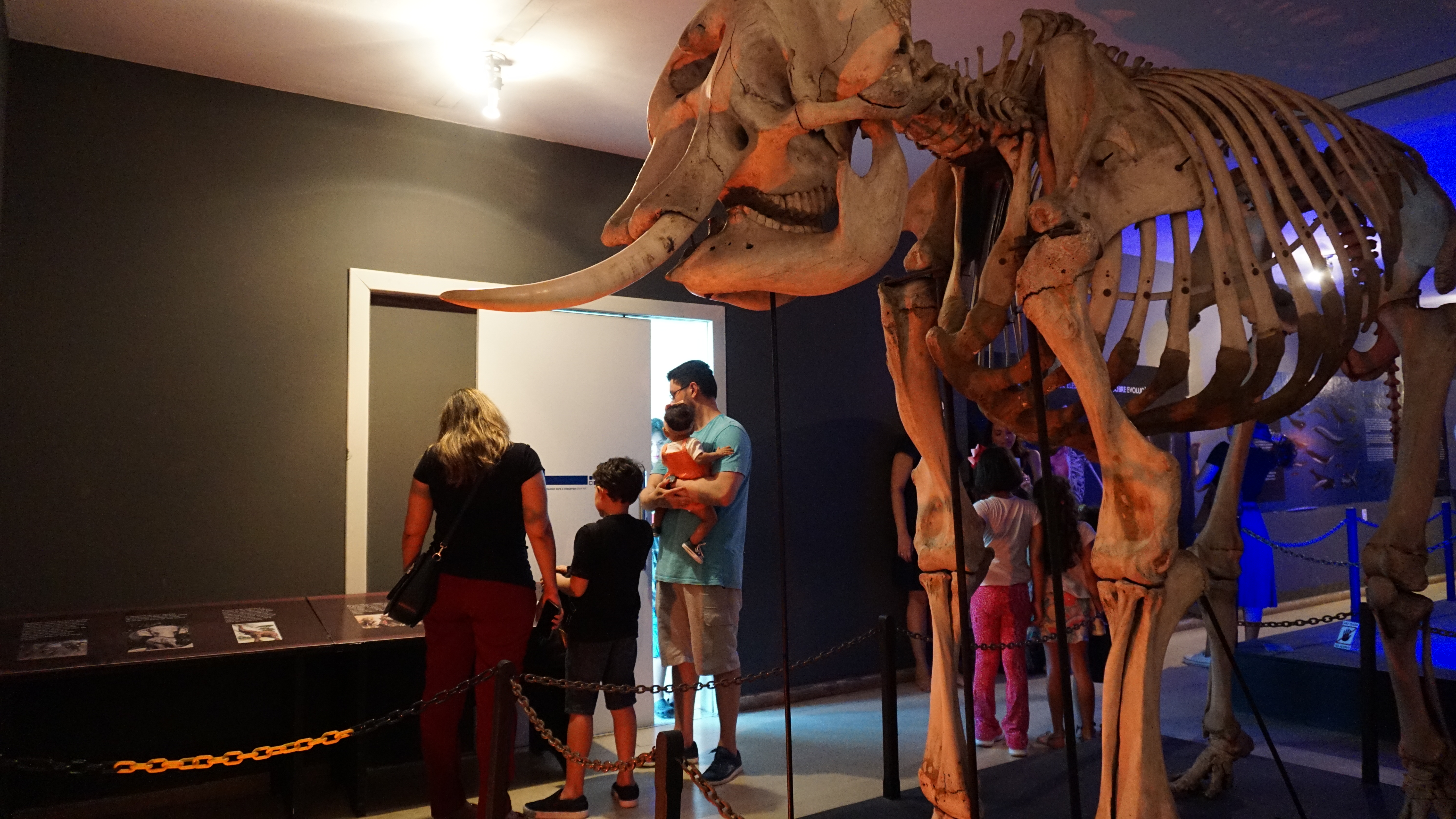 Jogo selecionado Museu dos Dinossauros O gênero escolhido mais